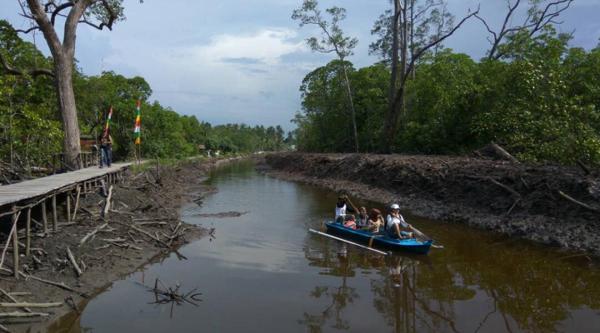 belitung destination Mangrove Kuale